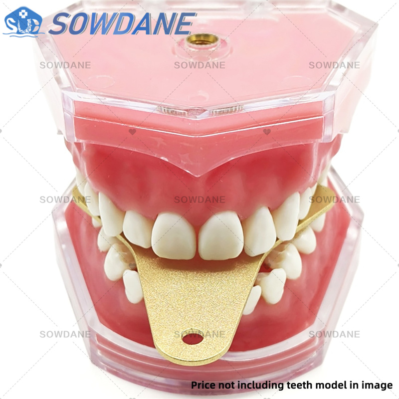 ถาดพิมพ์ฟันสำหรับห้องปฏิบัติกา - Teeth Whitening Trays บทวิจารณ์และราคา