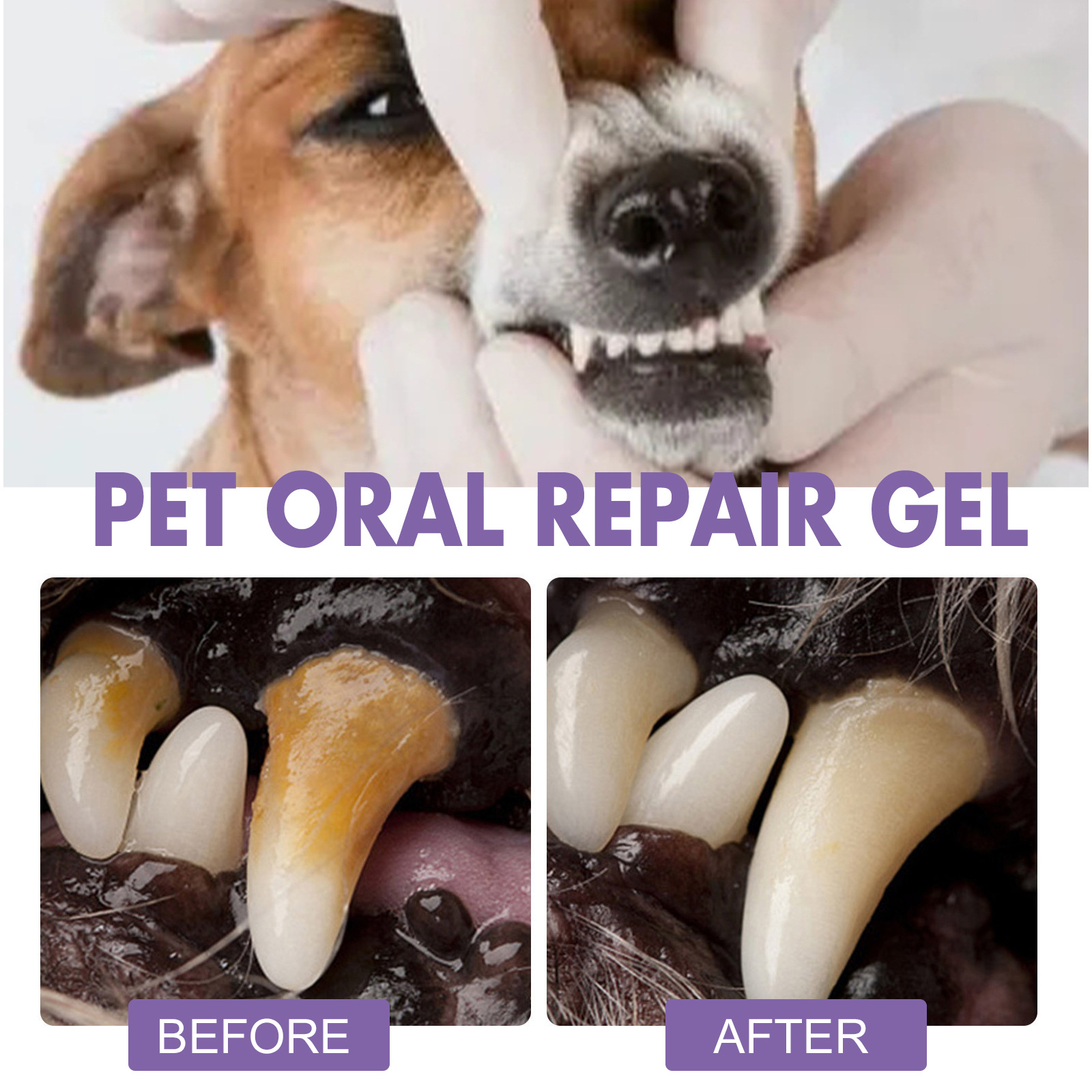 สัตว์เลี้ยง Oral Repair GEL Pu - Teeth Whitening Essence บทวิจารณ์และราคา