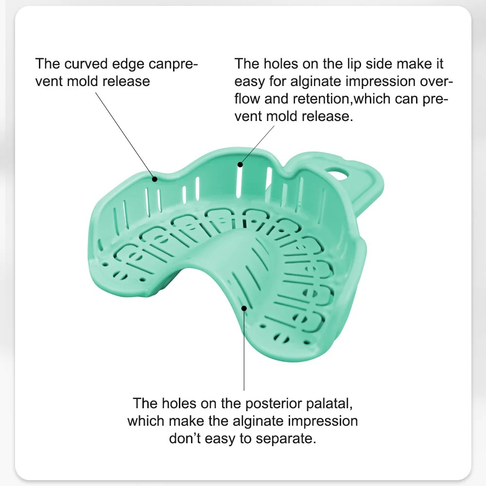 ถาดใส่รูปแบบฟันปลอม 6 ชิ้น สีเ - Teeth Whitening Trays บทวิจารณ์และราคา